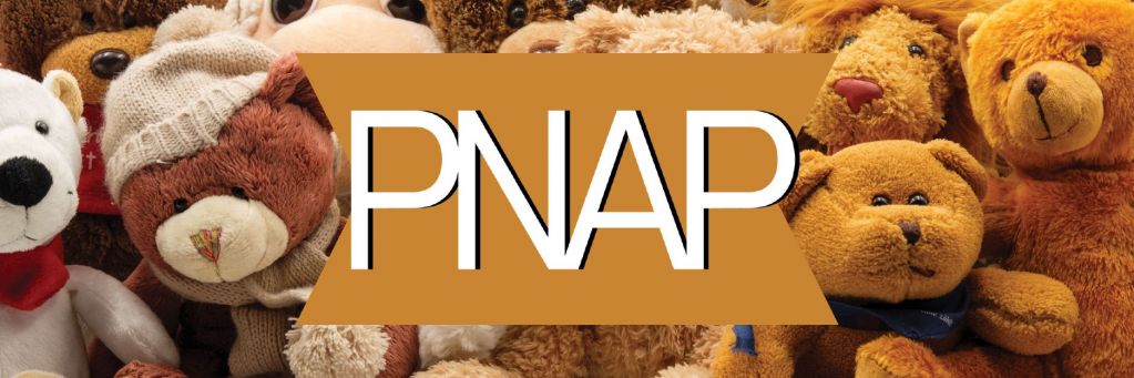 Several bear plushies are pictured together with the PNAP logo overlayed on top of them.