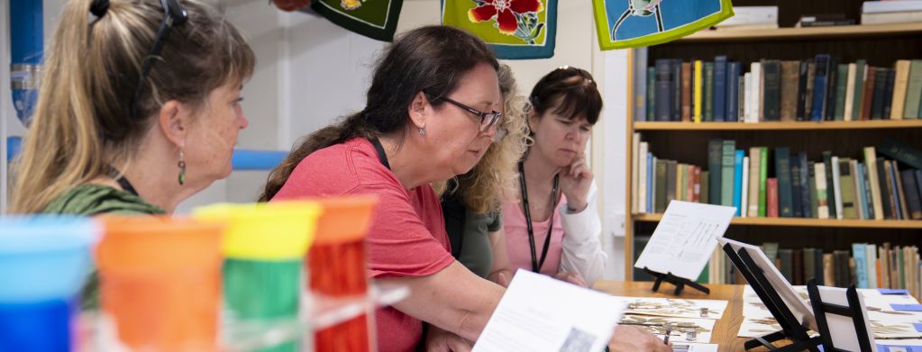 banner for the Herbarium About page, featuring several elementary school teachers lookign at papers on a desk as part of an escape room exercise