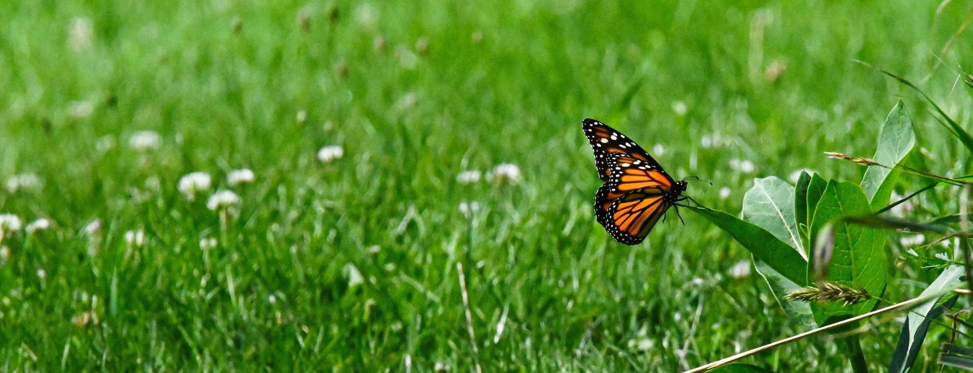 Center for Chemical Ecology | The Huck Institutes (en-US)