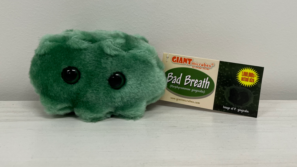 Green plushie version of P. gingivalis