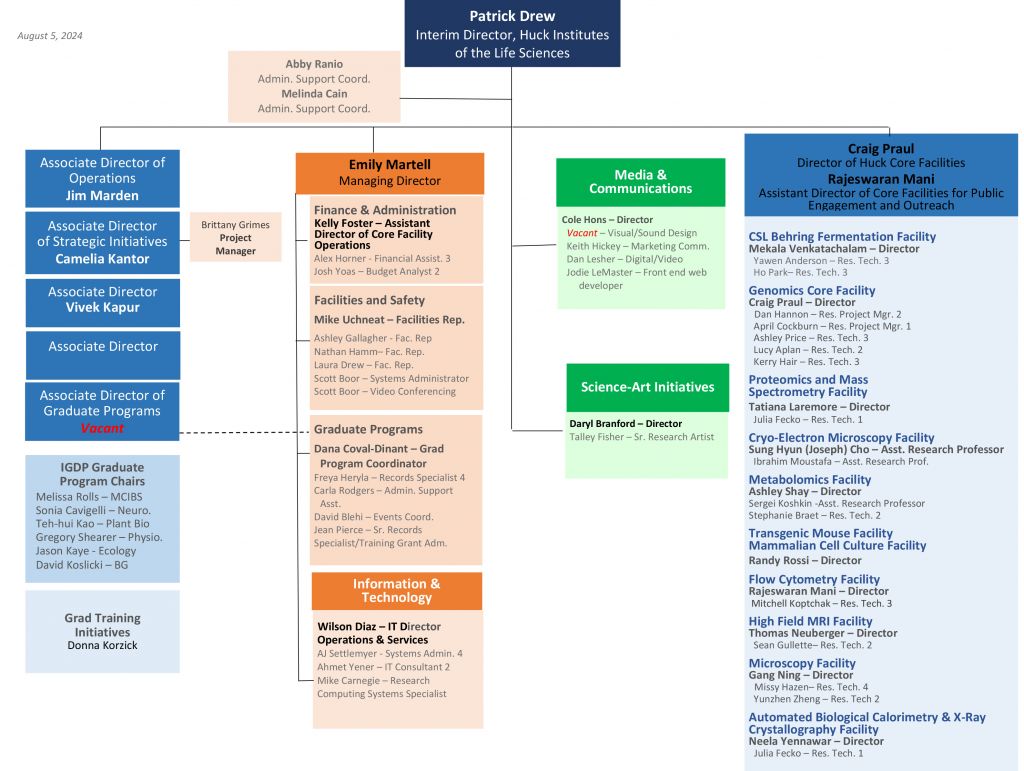 Huck Org Chart