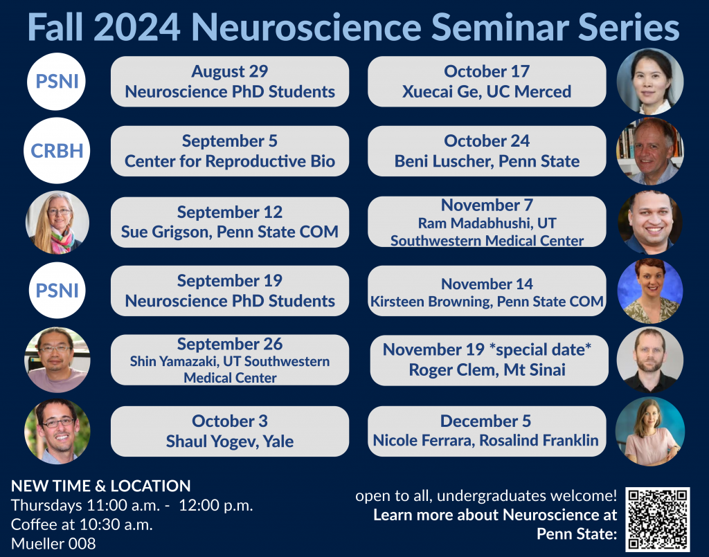 Fall 2024 seminar schedule for the Neuroscience Seminar Series. Seminars are Thursdays, 11am-12pm in Mueller 008