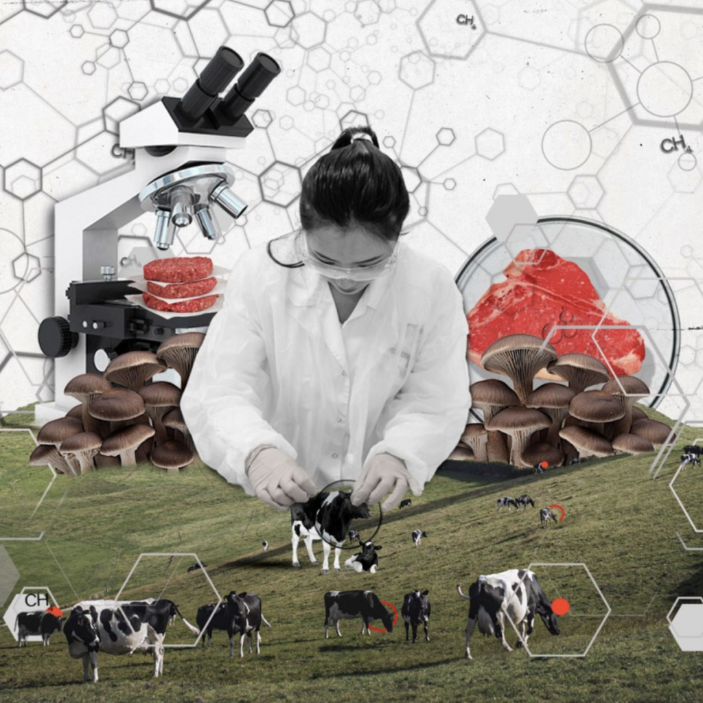 Artistic depiction of a scientist with cows, meat, and fungi