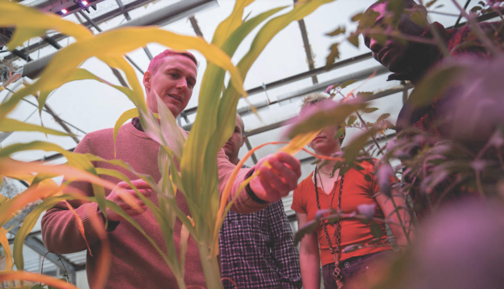 Photo of Fransisco Dini-Andreote with plants