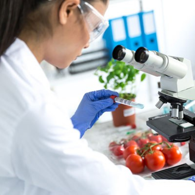 Courses | Center of Excellence in Industrial Biotechnology | The Huck ...