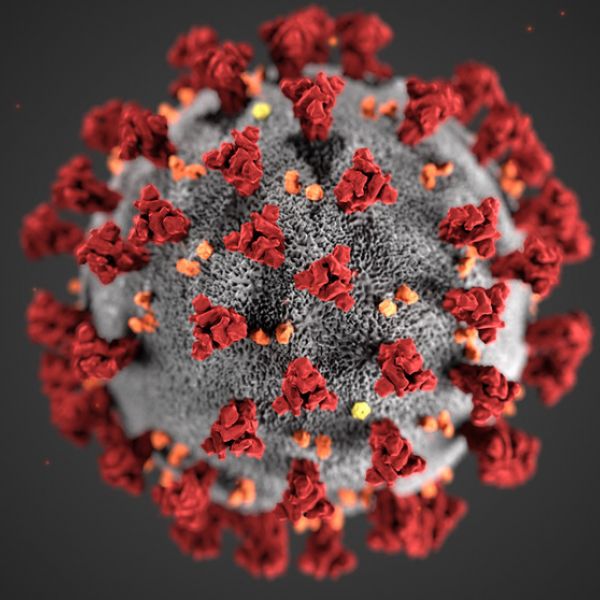 n illustration of the ultrastructural morphology exhibited by coronaviruses. A novel coronavirus has caused an outbreak of respiratory illness, named COVID-19, which was first detected in Wuhan, China, in 2019. IMAGE: CENTERS FOR DISEASE CONTROL; ALISSA ECKERT, MS; DAN HIGGINS, MAM.