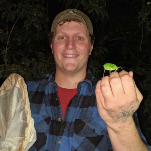 D.J. McNeil, postdoctoral fellow in entomology, listened to the nocturnal "songs" of crickets and katydids (shown here) to map their populations across a variety of habitats in central Pennsylvania.