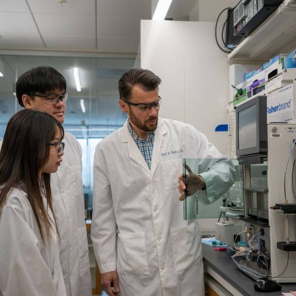 Through a series of experiments, the research team led by Scott Medina, right, William and Wendy Korb Early Career Professor of Biomedical Engineering at Penn State, replaced the water-based solution commonly used in protein-based medications with a perfluorocarbon oil and tested five different proteins with a range of health-related functions such as antibodies and enzymes. Credit: Penn State. Creative Commons