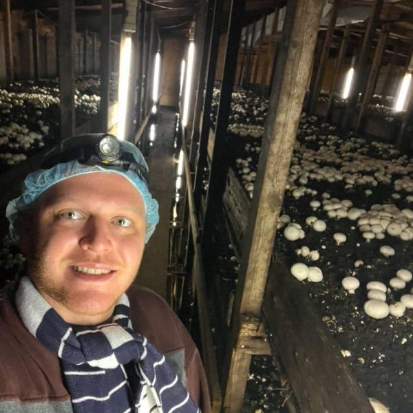 Luke Reynolds, a doctoral degree student in entomology at Penn State, pauses while conducting research in a growing room at a mushroom farm. Credit: Penn State. Creative Commons