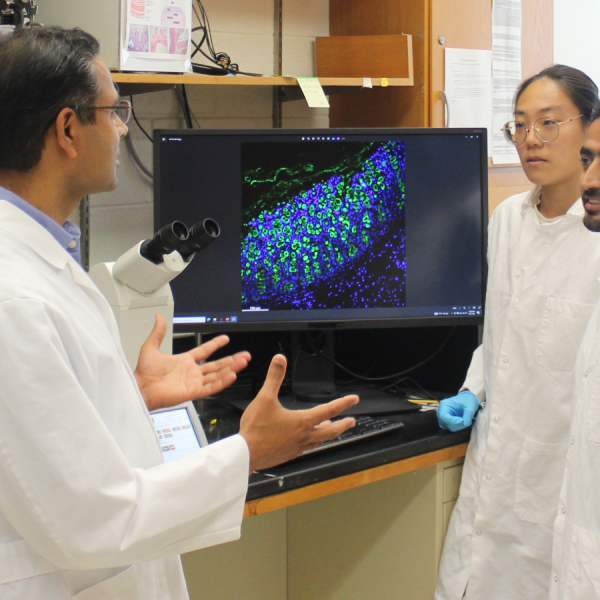 Vishal Singh, left, conducted this study in his lab, the Nutrition and Microbiome—Singh Lab, as part of a team that consisted of graduate research assistants, postdoctoral scholars, undergraduate students and collaborations with researchers from other departments in the University and outside of Penn State. Credit: Provided by Vishal Singh. All Rights Reserved.