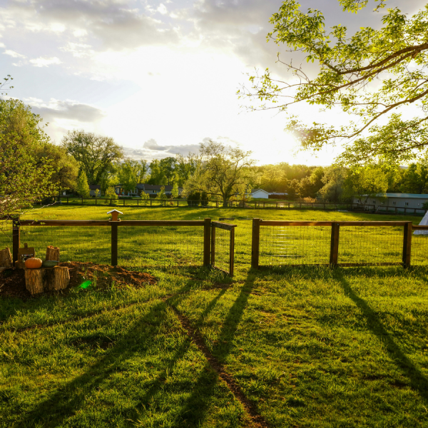 The researchers said they hope their recent findings will give homeowners the confidence to participate in tick management around their homes and yards. Credit: Dillon Fancher/Unsplash. All Rights Reserved.