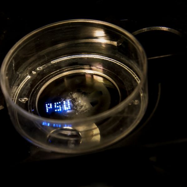PSU aspiration bioprinted on the bottom of a glass Petri dish.  The spheroids of tissue can be seen. IMAGE: PATRICK MANSELL